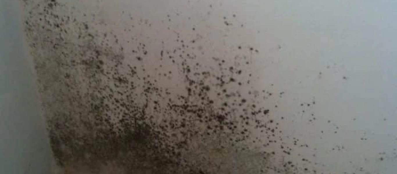 Έχετε στο σπίτι σας υγρασία; - Το κόλπο για να την εξαφανίσετε